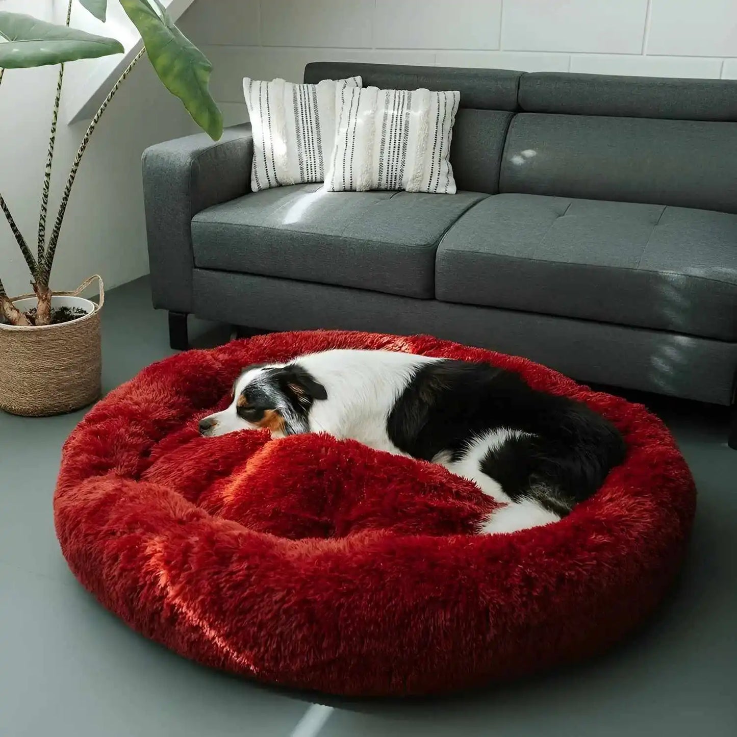 MrFluffyFriend - Best Dog Bed for Large Dogs