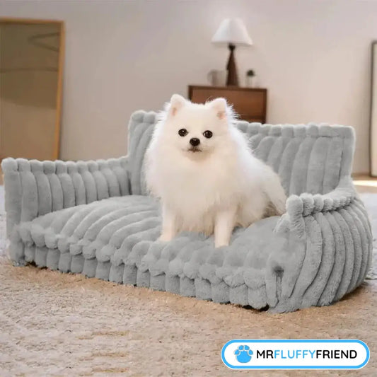 Fluffy small white dog sitting on a soft gray dog sofa indoors.