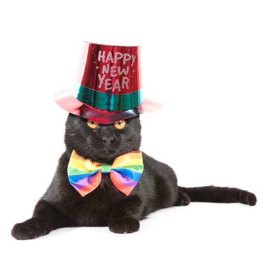 new years with pets