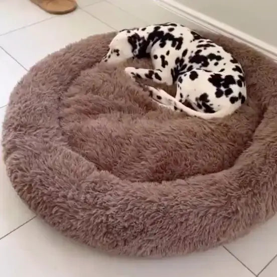 Dog resting on a fluffy pet bed