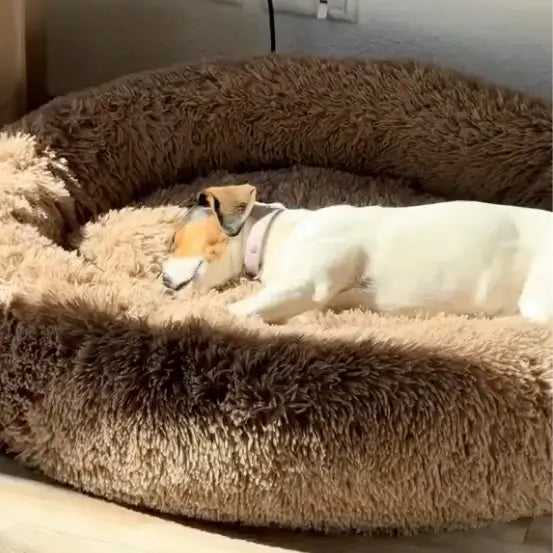 Dog resting on a fluffy pet bed