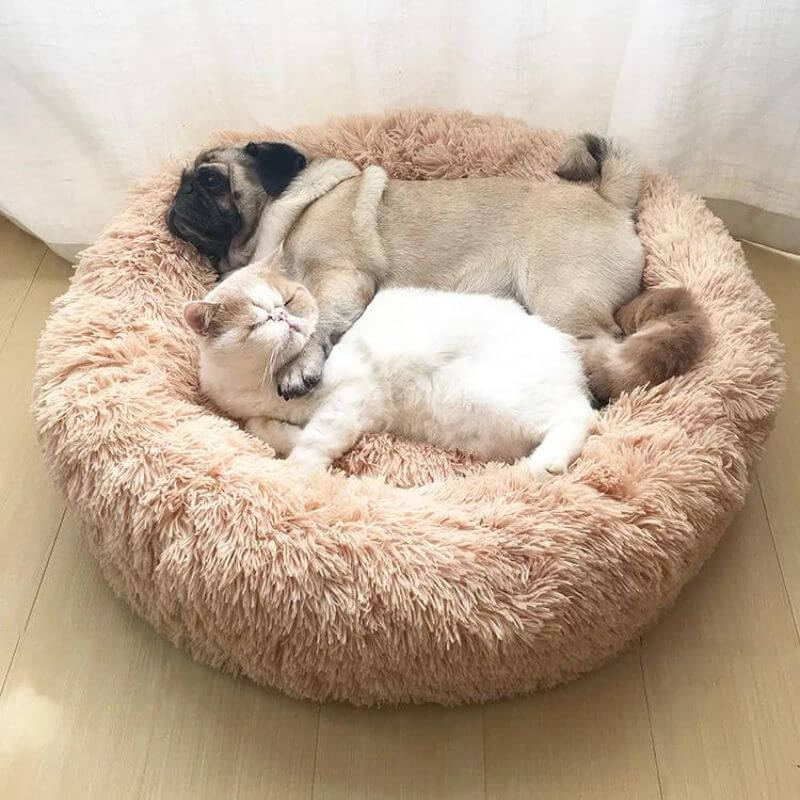MrFluffyFriend - Stress-free Cat Bed