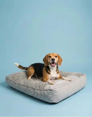 Photo of Calming dog cushion