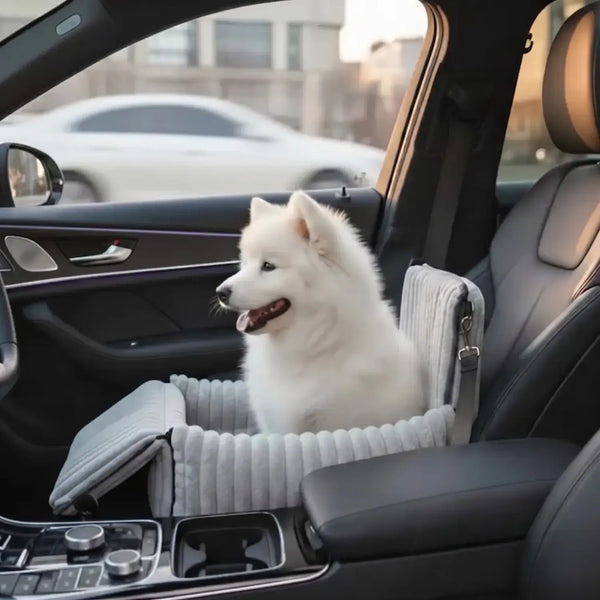 Make every car ride safe & comfortable for your dog