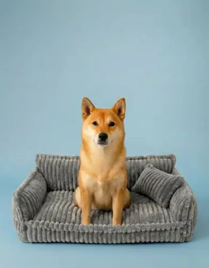 Photo of Orthopedic dog sofa
