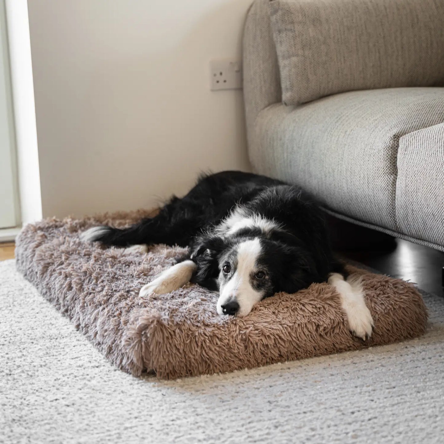 MrFluffyFriend - Best Orthopedic Dog Pillow