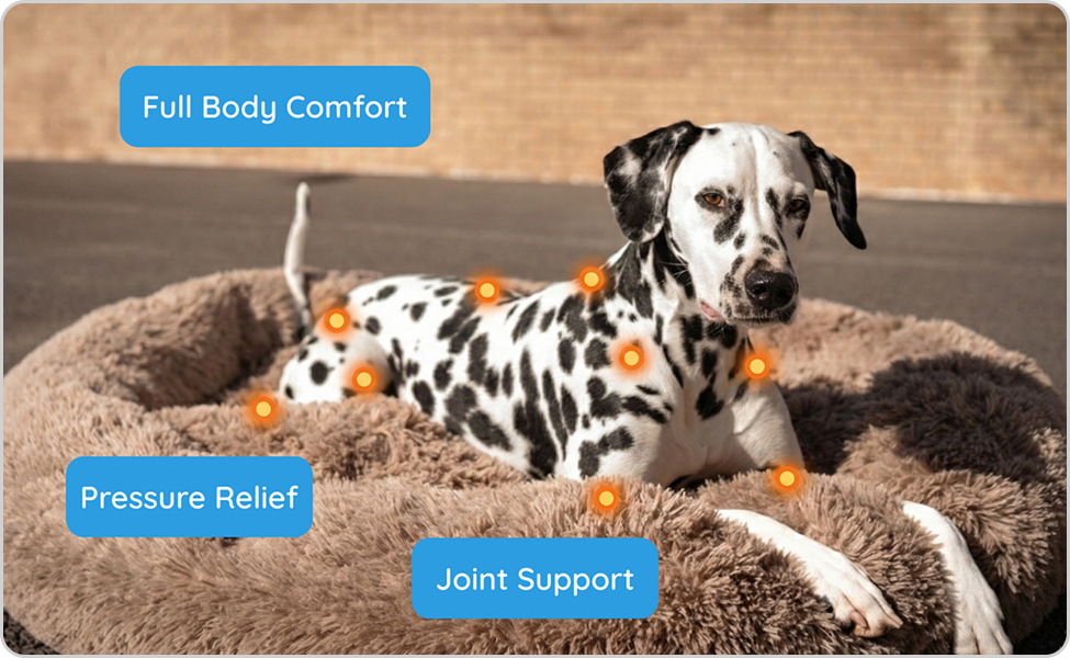 Dalmatian dog resting on fluffy pet bed with comfort and joint support labels
