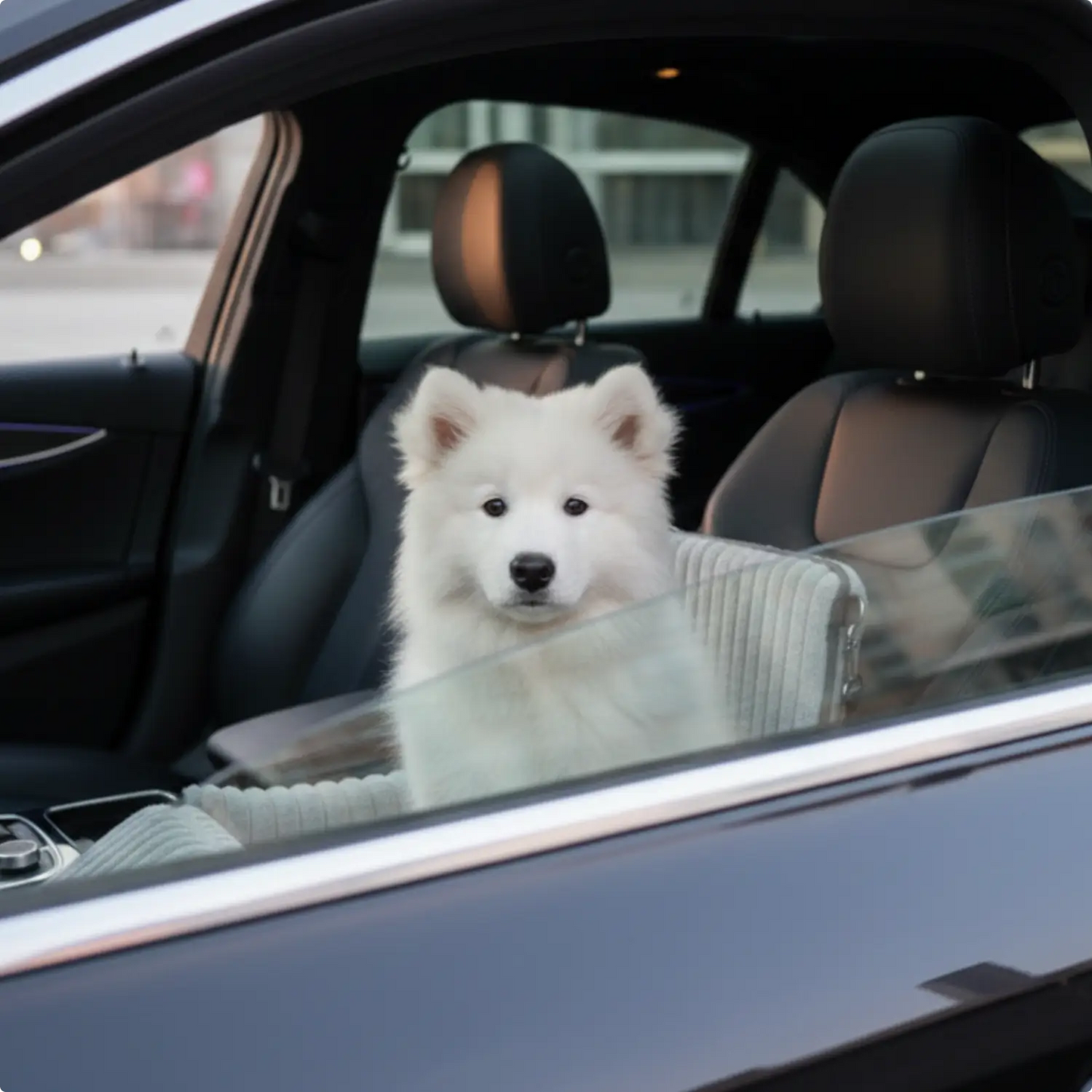 MrFluffyFriend™ - Safe & Cozy Dog Car Seat
