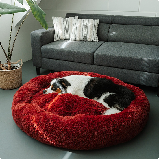 Dog resting on a red fluffy pet bed in a living room