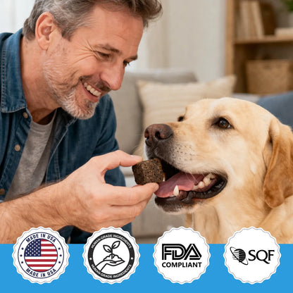 MrFluffyFriend™ - Allergy Care Chews - Natural Itch & Seasonal Allergy Support