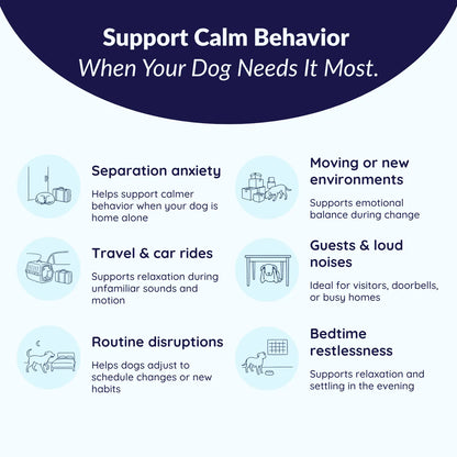 MrFluffyFriend™ - Calming Chews - Natural Anxiety Support for Dogs