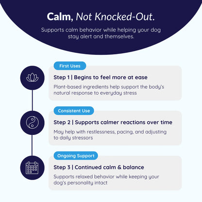 MrFluffyFriend™ - Calming Chews - Natural Anxiety Support for Dogs