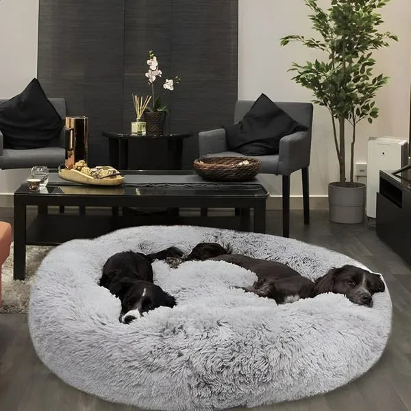 <em><strong>A Calming Bed</strong></em> <em>Designed for </em><strong>Anxious Dogs</strong>