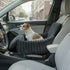 MrFluffyFriend™ - Safe & Cozy Dog Car Seat