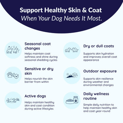 MrFluffyFriend™ - Healthy Skin Chews - Natural Omega-3 for Skin & Coat
