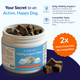 MrFluffyFriend™ - Mobility Support Chews - Natural Hip & Joint Support