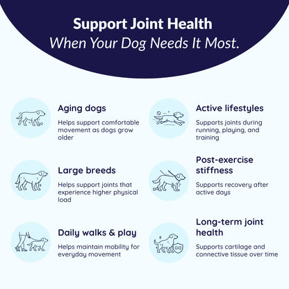 MrFluffyFriend™ - Mobility Support Chews - Natural Hip & Joint Support