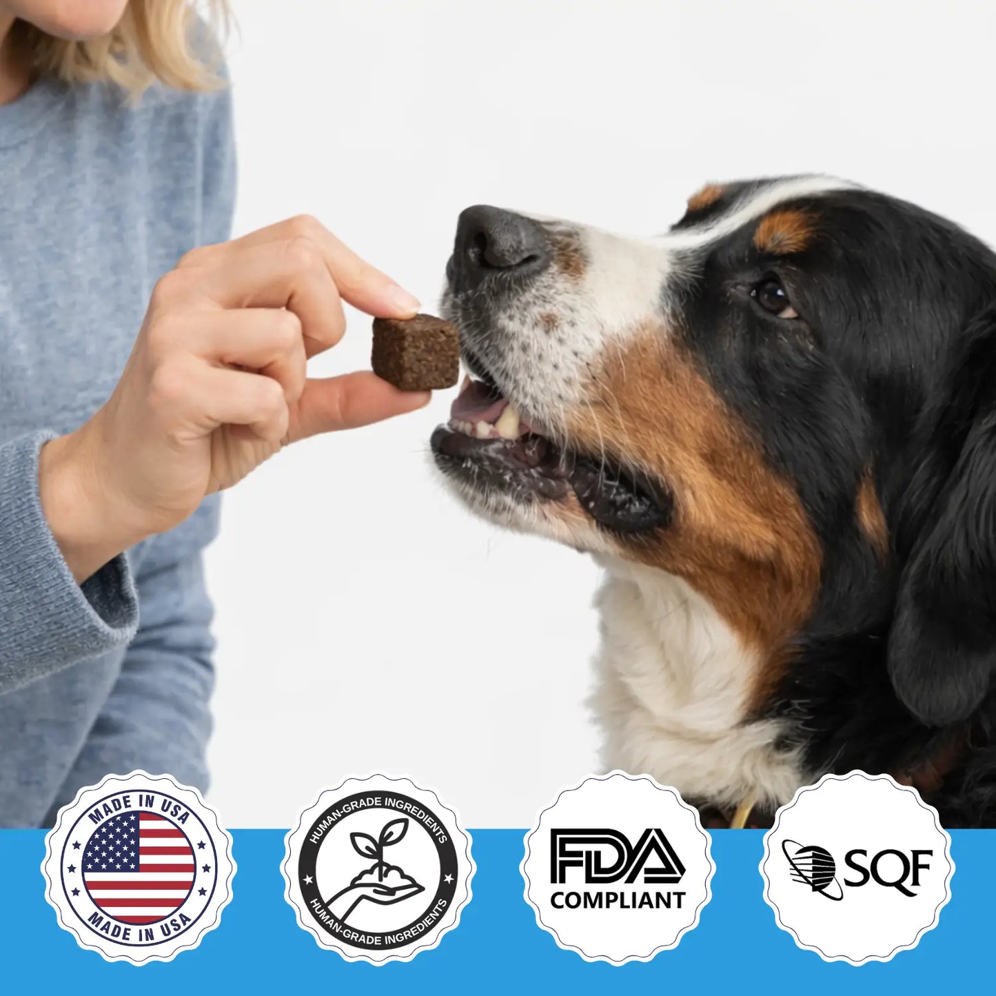 MrFluffyFriend™ - Multi Chews - Natural Daily Multivitamin for Dogs