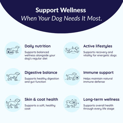 MrFluffyFriend™ - Multi Chews - Natural Daily Multivitamin for Dogs