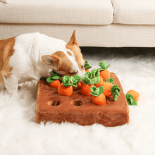 Load image into Gallery viewer, A corgi sniffs a plush carrot toy puzzle, searching for hidden treats, with a couch in the background
